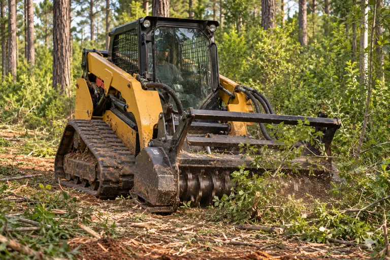 Forestry mulcher cutting dense brush between pine trees
